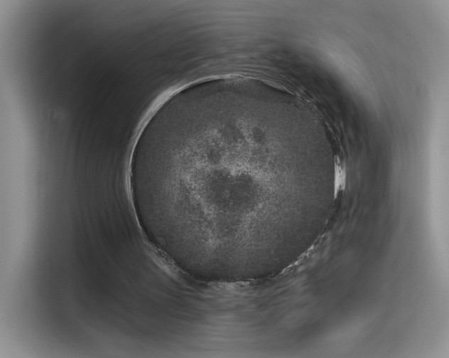 X0000115530147200911131512