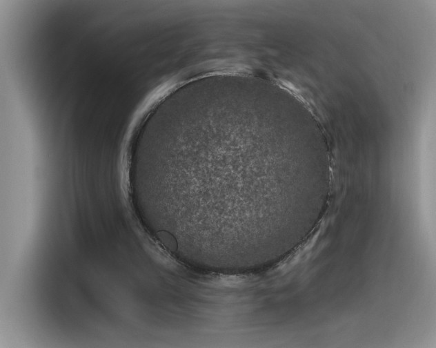 X0000115530149200911131512