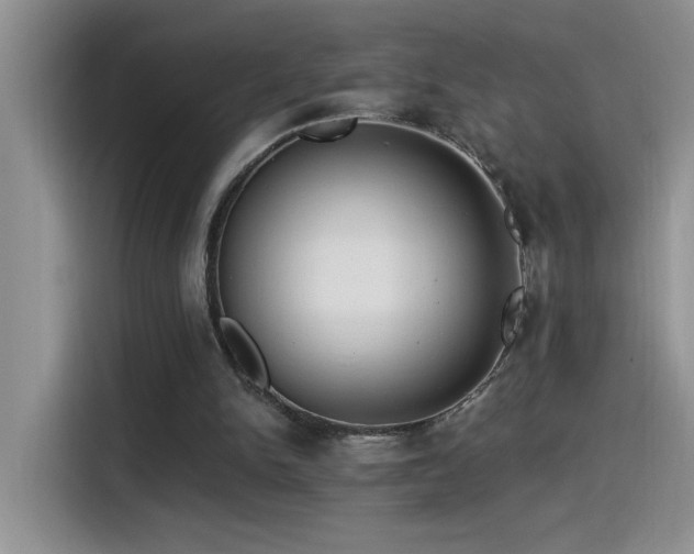 X0000115530150200911131512