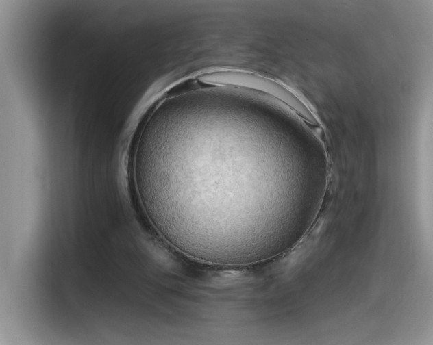 X0000115530151200911131512