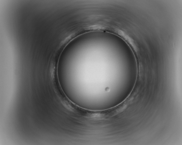 X0000115530153200911131512