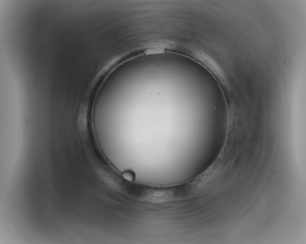 X0000115530155200911131512