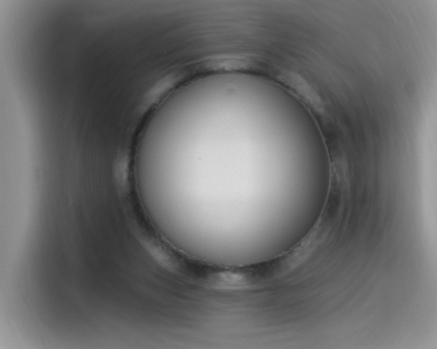 X0000115530159200911131512