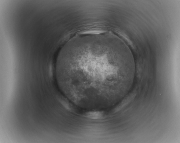 X0000115530161200911131512