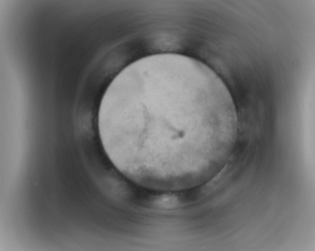 X0000115530162200911131512