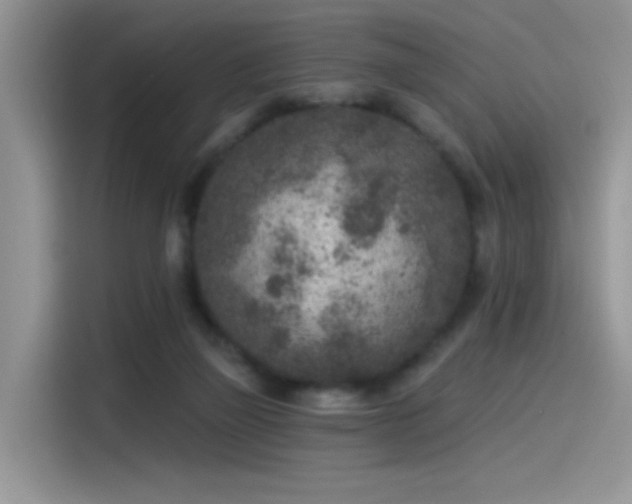 X0000115530165200911131512