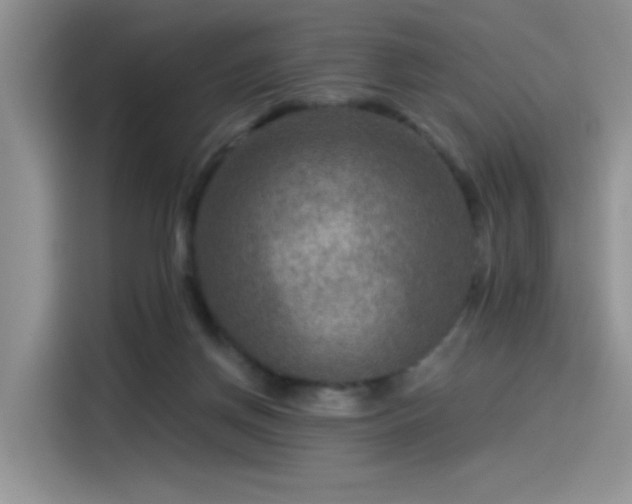 X0000115530166200911131512