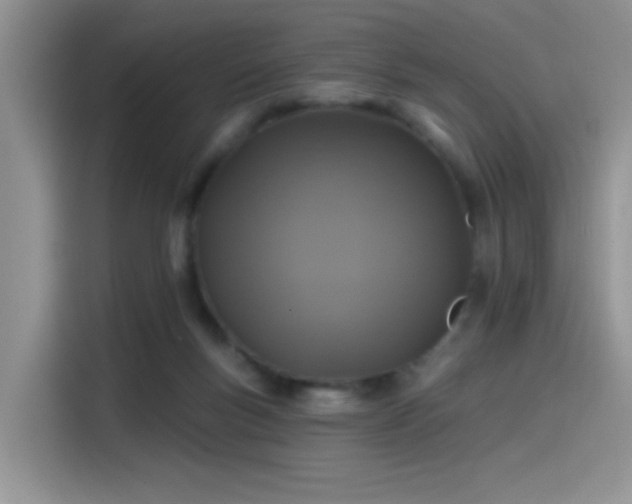 X0000115530167200911131512