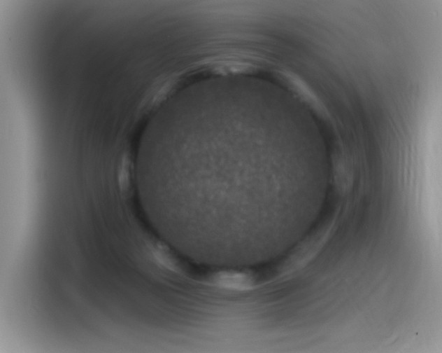 X0000115530169200911131512