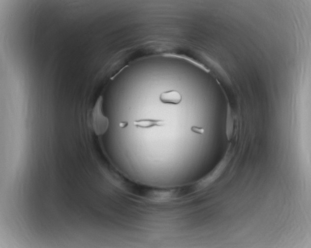 X0000115530170200911131512