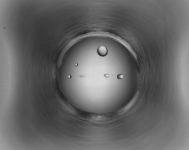 X0000115530174200911131512