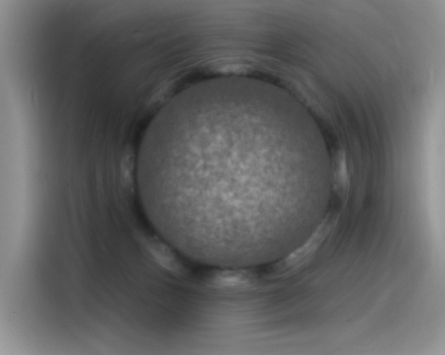 X0000115530175200911131512