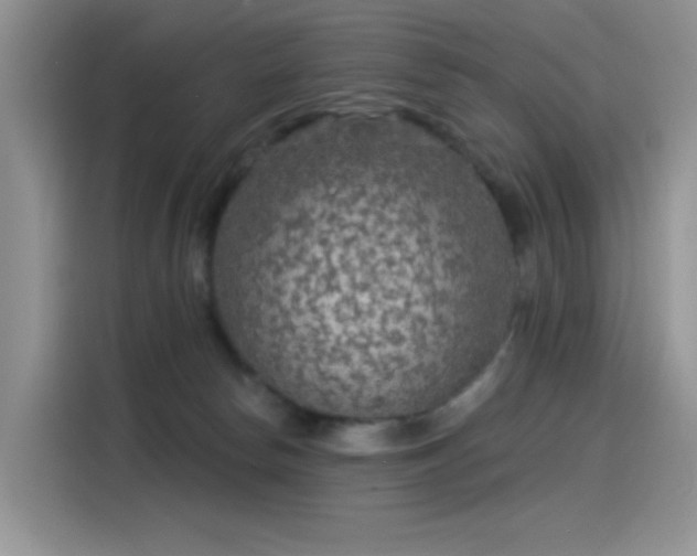 X0000115530178200911131512