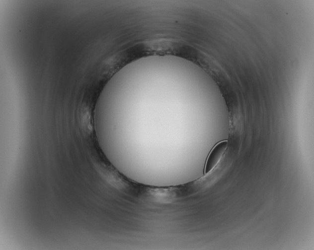 X0000115530187200911131513