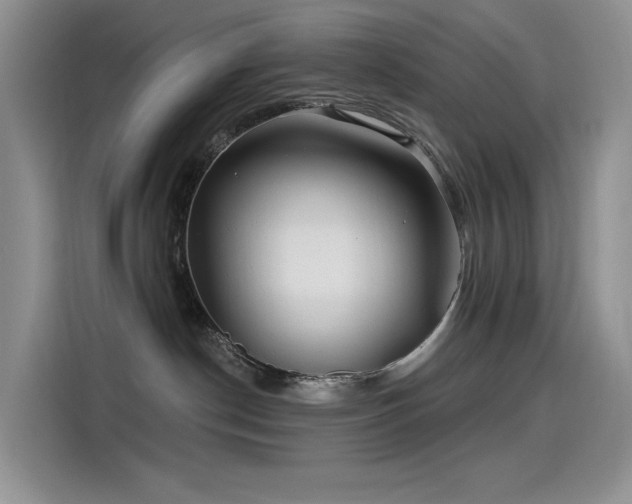 X0000115530190200911131513