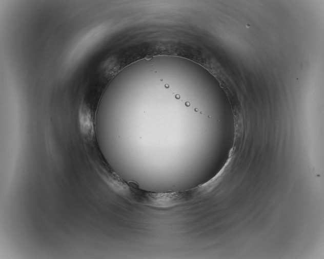 X0000115530191200911131513