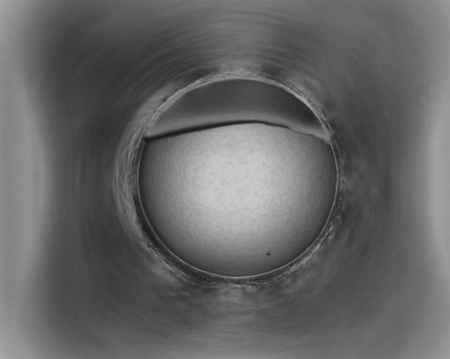 X0000115530193200911131512