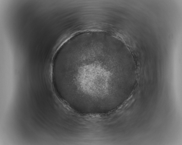 X0000115530194200911131512