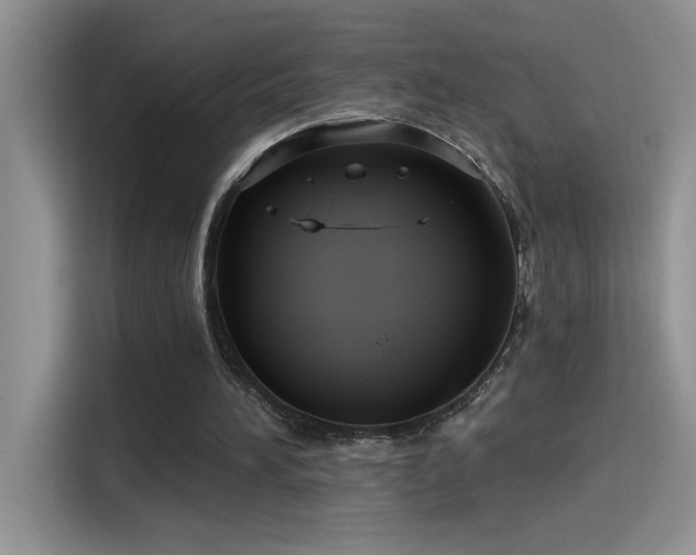 X0000115530196200911131512