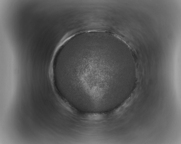 X0000115530198200911131512