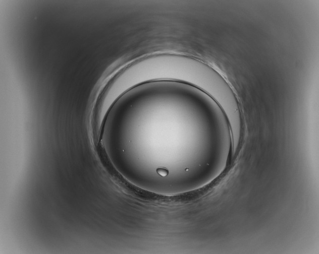 X0000115530199200911131512