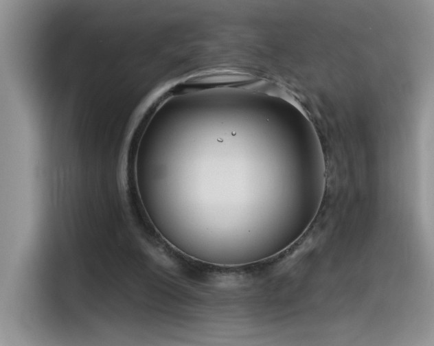 X0000115530200200911131512