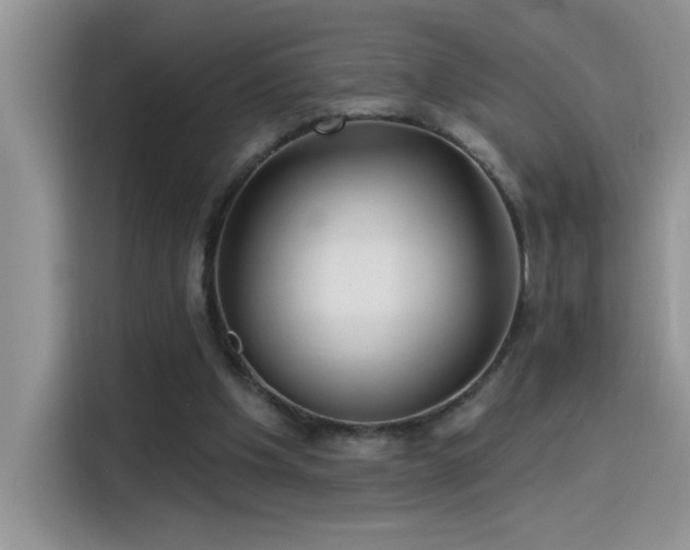 X0000115530201200911131512