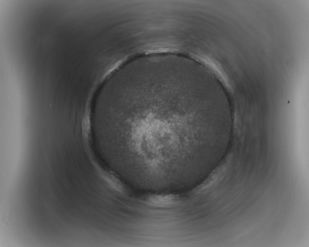 X0000115530202200911131512