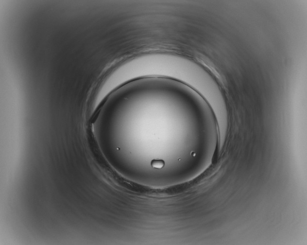 X0000115530203200911131512