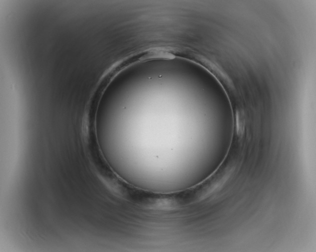 X0000115530204200911131512