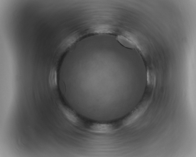 X0000115530205200911131512