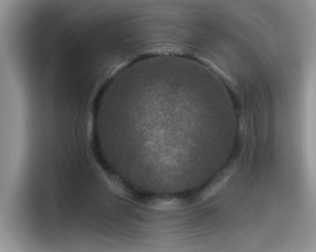 X0000115530206200911131512