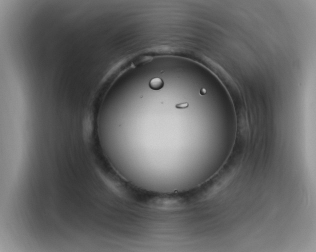 X0000115530208200911131512