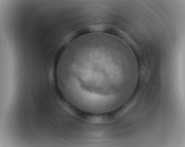 X0000115530209200911131512