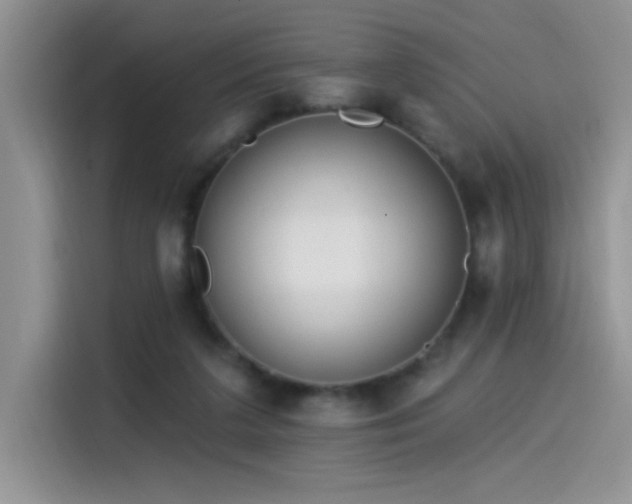 X0000115530211200911131512