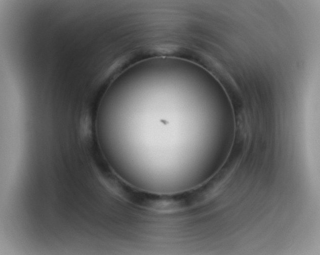 X0000115530212200911131512