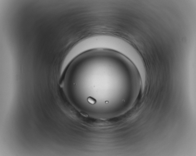 X0000115530215200911131512