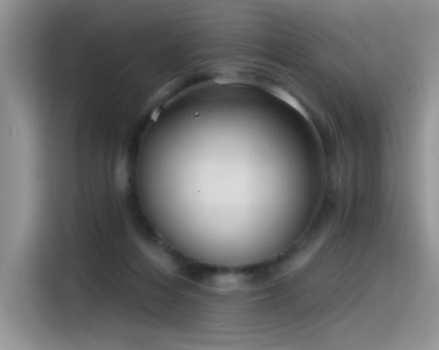 X0000115530216200911131512