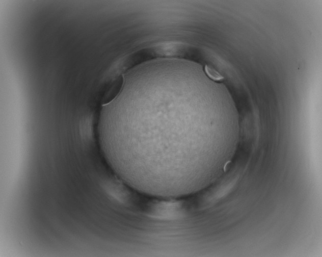 X0000115530217200911131512