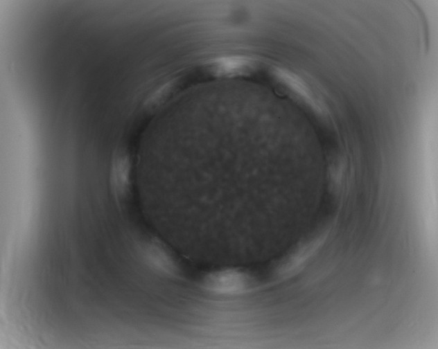 X0000115530219200911131512