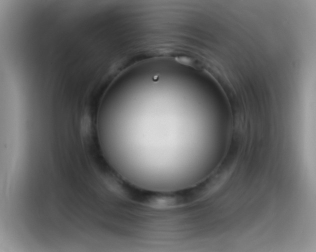 X0000115530220200911131512