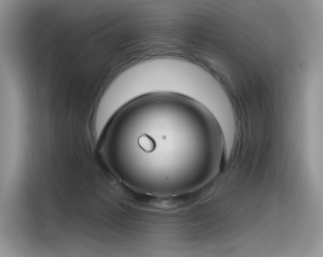 X0000115530221200911131512