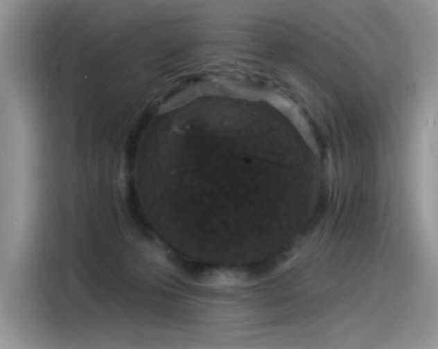 X0000115530223200911131512