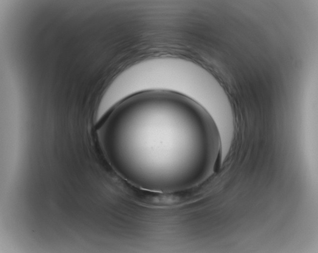 X0000115530225200911131512