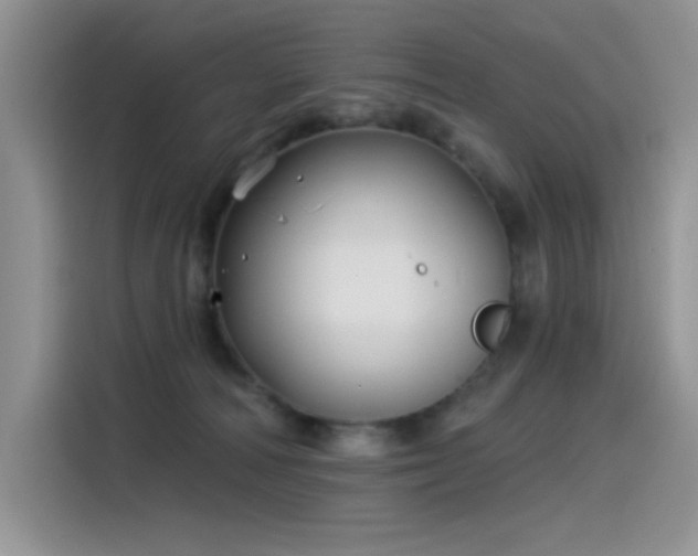 X0000115530226200911131512