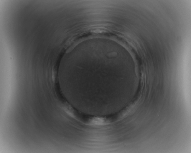 X0000115530227200911131512