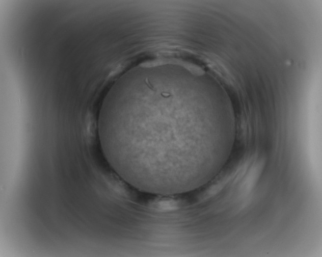 X0000115530228200911131512