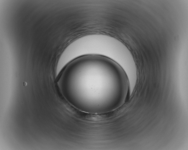 X0000115530229200911131512