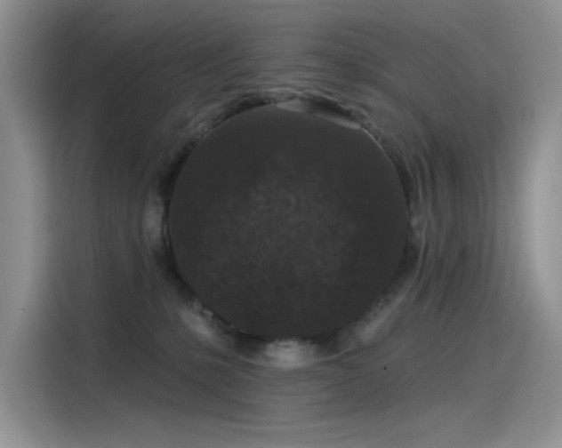 X0000115530231200911131512