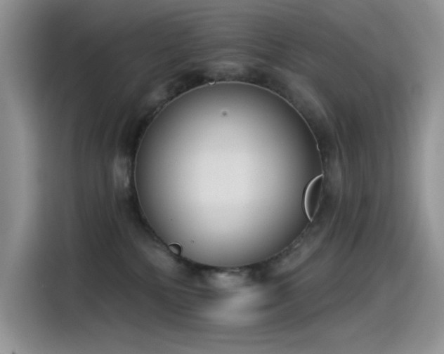 X0000115530232200911131512